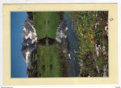 AK 219412 AUSTRIA - Bregenzerwald