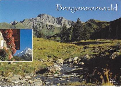 AK151499 AUSTRIA - Bregenzerwald