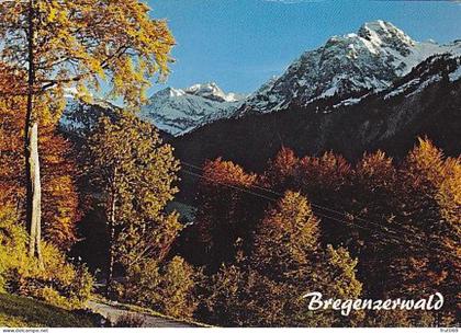 AK151549 AUSTRIA - Bregenzerwald