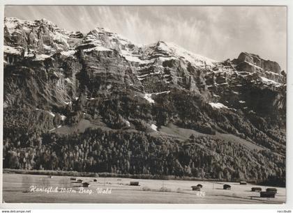 Bregenzerwald