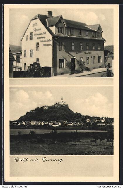 AK Güssing, Das Hotel Fassmann, Gesamtansicht
