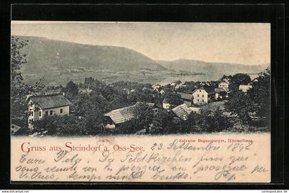 AK Steindorf a. Oss-See, Ortsansicht aus der Vogelschau