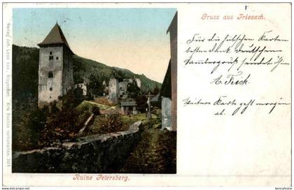 Gruss aus Friesach - Ruine Petersberg
