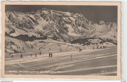 Dienten, Ski Übungsgelände, Hochkönig