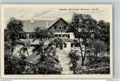 13306511 - Gallspach