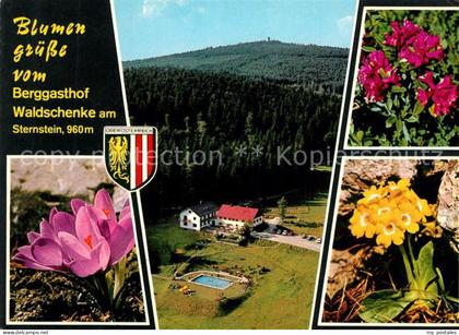 Bad Leonfelden Berggasthof Waldschenke am Sternstein Fliegeraufnahme Alpenflora