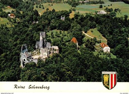 Eferding Oberoesterreich AT Ruine Schaunburg Fliegeraufnahme