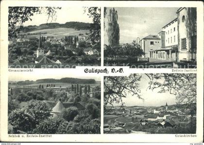 Gallspach Gesamtansicht Zeileis Institut Schloss Grieskirchen
