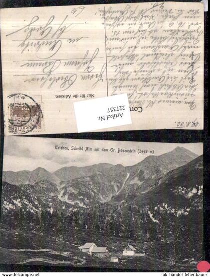 227357,Trieben Scheibl Alm m. d. Gr. Bösenstein Bergkulisse