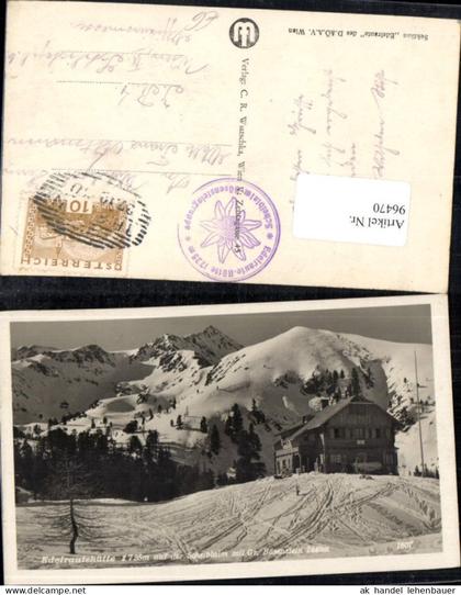 96470,Edelrautehütte mit Bösenstein Detailansicht Trieben