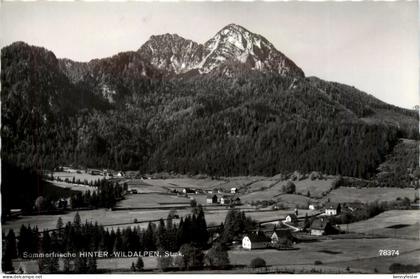 Sommerfrische Hinter-Wildalpen