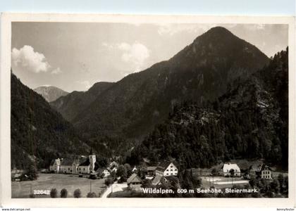 Wildalpen