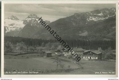 Lofer - Au - Steinberge - Foto-Ansichtskarte