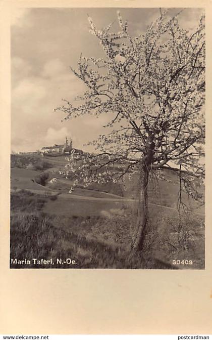 Österreich - Maria Taferl (NÖ) Gesamtansicht