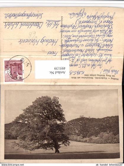 495139,Mödling Vorderbrühl Meiereiwiese m. Blick zur Burg Mödling