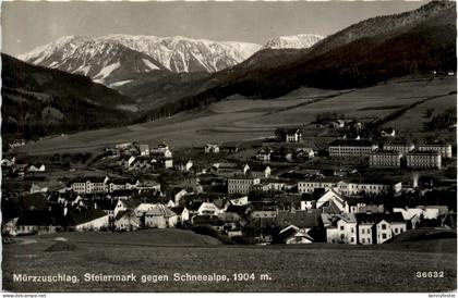 Mürzzuschlag/Steiermark - Mürzzuschlag - gegen Schneealpe