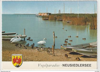 AK Österreich, Neusiedlersee