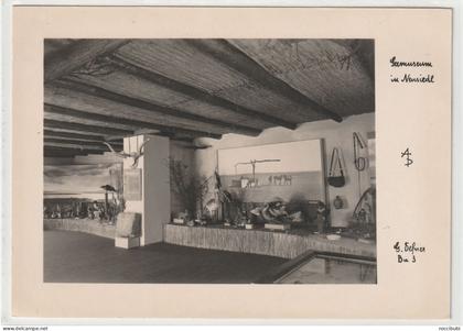 Neusiedl am See, Seemuseum