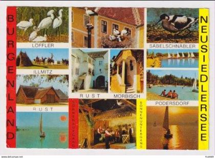 AK 033789 AUSTRIA - Neusiedlersee