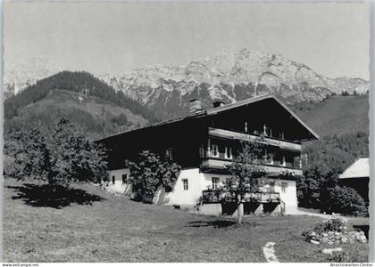 10039856 - Leogang