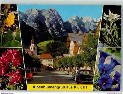10278085 - Kuchl