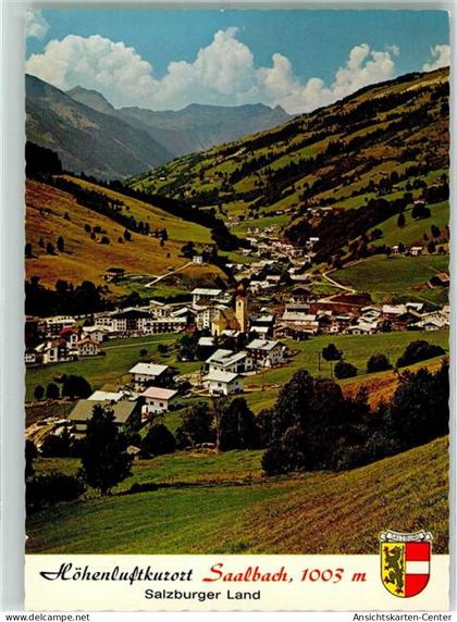 10286817 - Saalbach