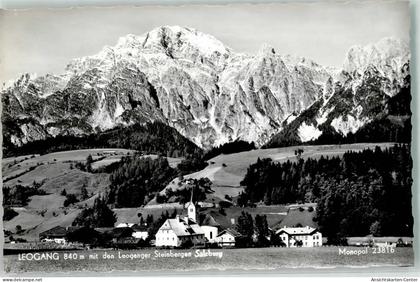 39503017 - Leogang