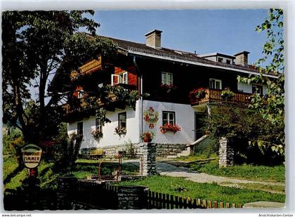 51274498 - Goldegg im Pongau