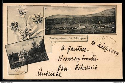 AK Thalgau, Amönenburg, Totalansicht des Ortes mit Umgebung und Herrenhaus