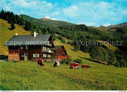Grossarl Breitenebenalm Almvieh Kuehe