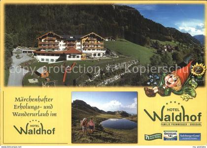 Grossarl Hotel Waldhof