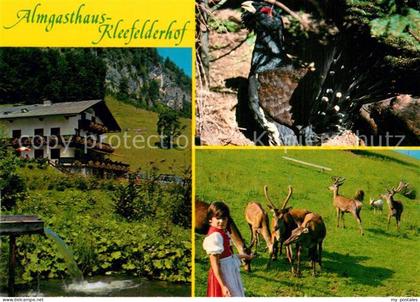 Strobl Almgasthaus Kleefelderhof