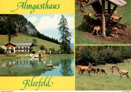 Strobl Wolfgangsee AT Almgasthaus Kleefeld Wildgehege