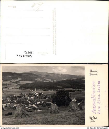 119172,Obdach Totale Auswahlmuster pub Fürst 1442