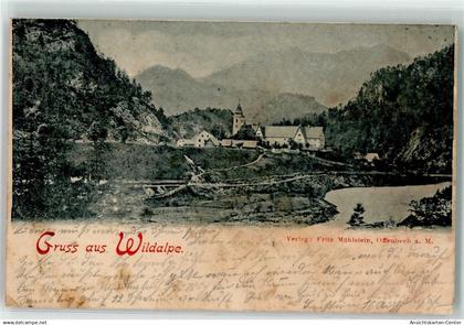39253545 - Wildalpen