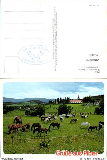 755306 Piber Lipizzanergestüt Köflach Bez. Voitsberg