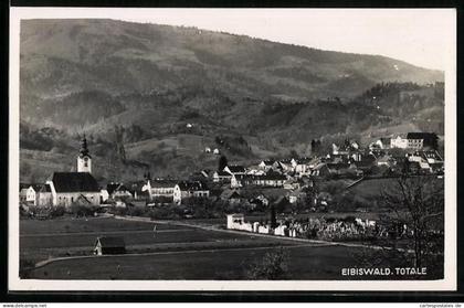 AK Eibiswald, Totalansicht mit Umgebung