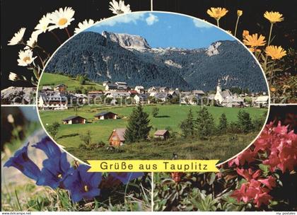 Tauplitz Tauplitzalm Sturzhahn