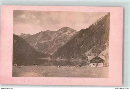 10300144 - Tannheim