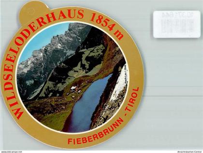 10371644 - Fieberbrunn