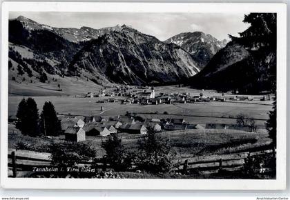 51538255 - Tannheim
