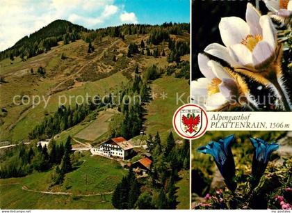 Arzl Pitztal Alpengasthof Plattenrain