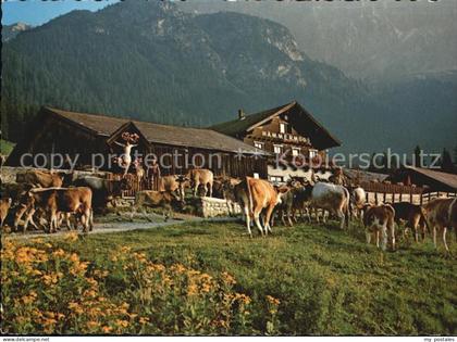 Leutasch Haemmermoosalm Wettersteingebirge