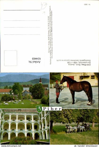 624469,Mehrbild Ak Bundesgestüt Piber Köflach Pferde Reiten Lipizzaner Kutsche