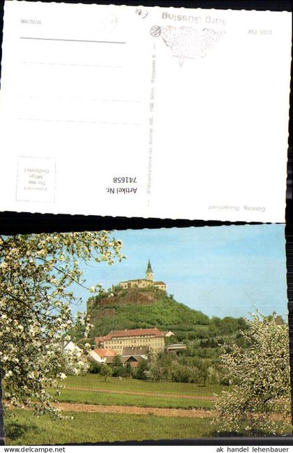 741658 Güssing m. Burg Baumblüte i. Vordergrund
