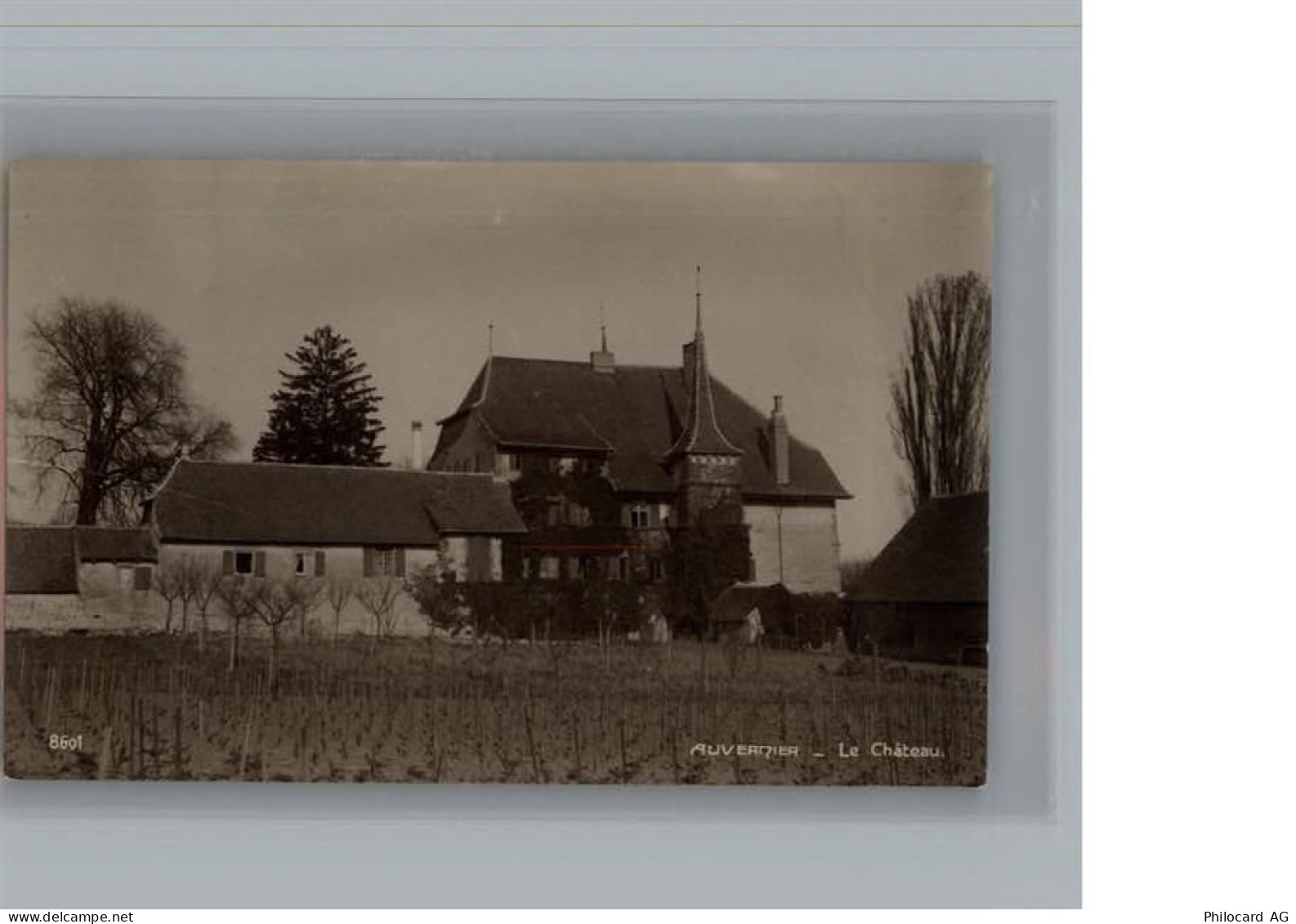 Auvernier (CH) - 50268408