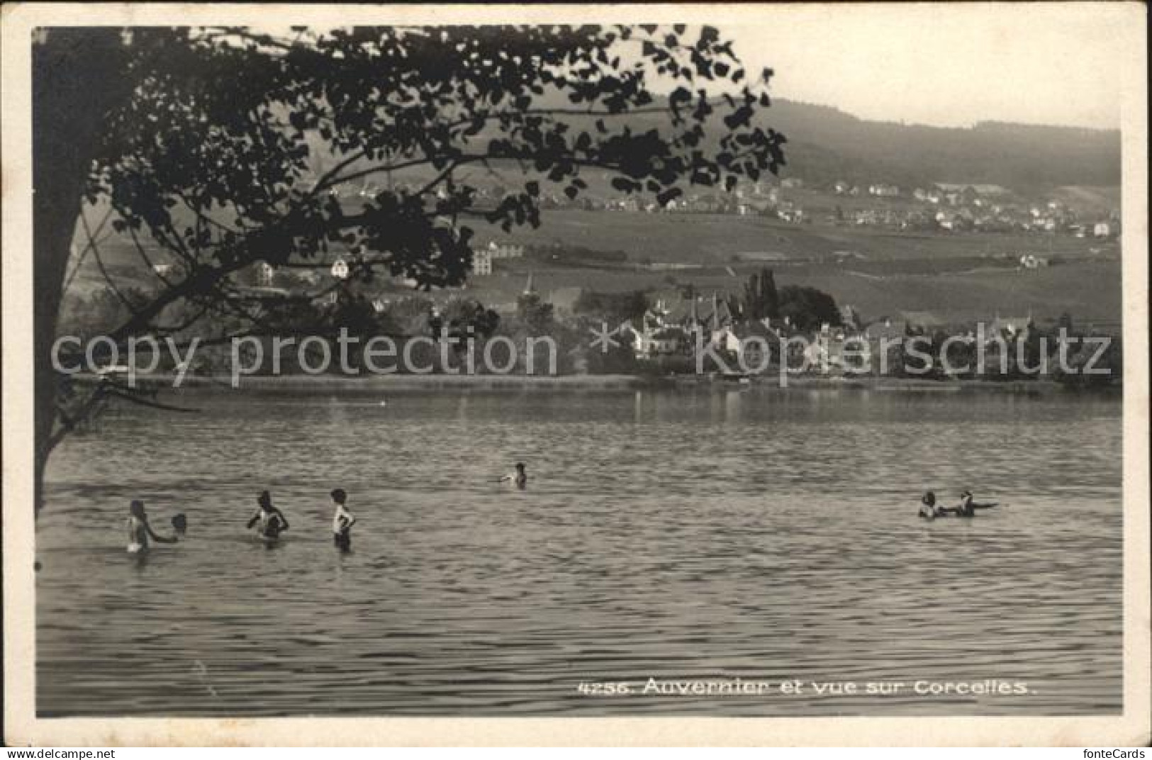 Auvernier et vue sur Corcelles Lac de Neuchatel