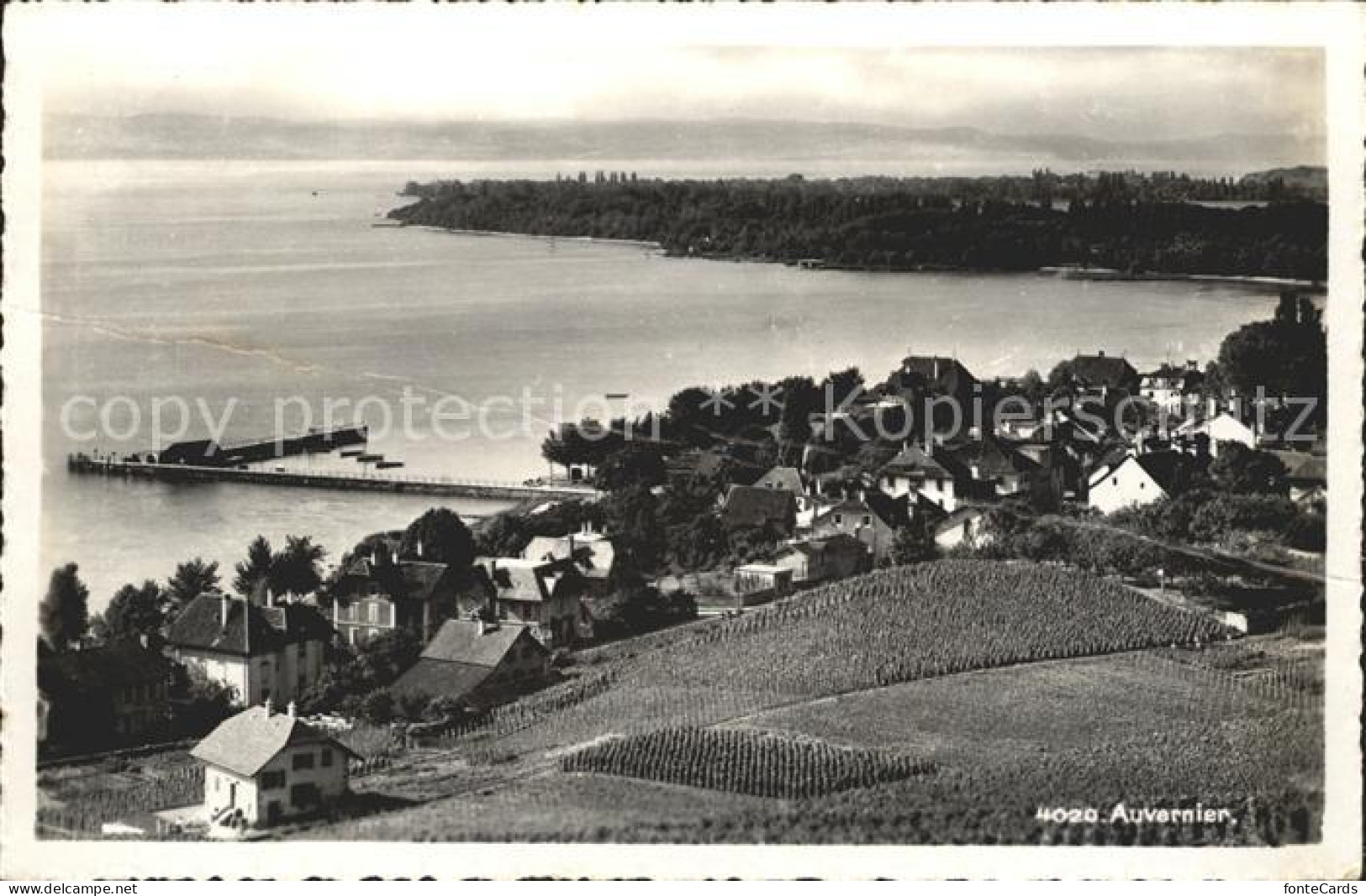 Auvernier Neuenburgersee Fliegeraufnahme