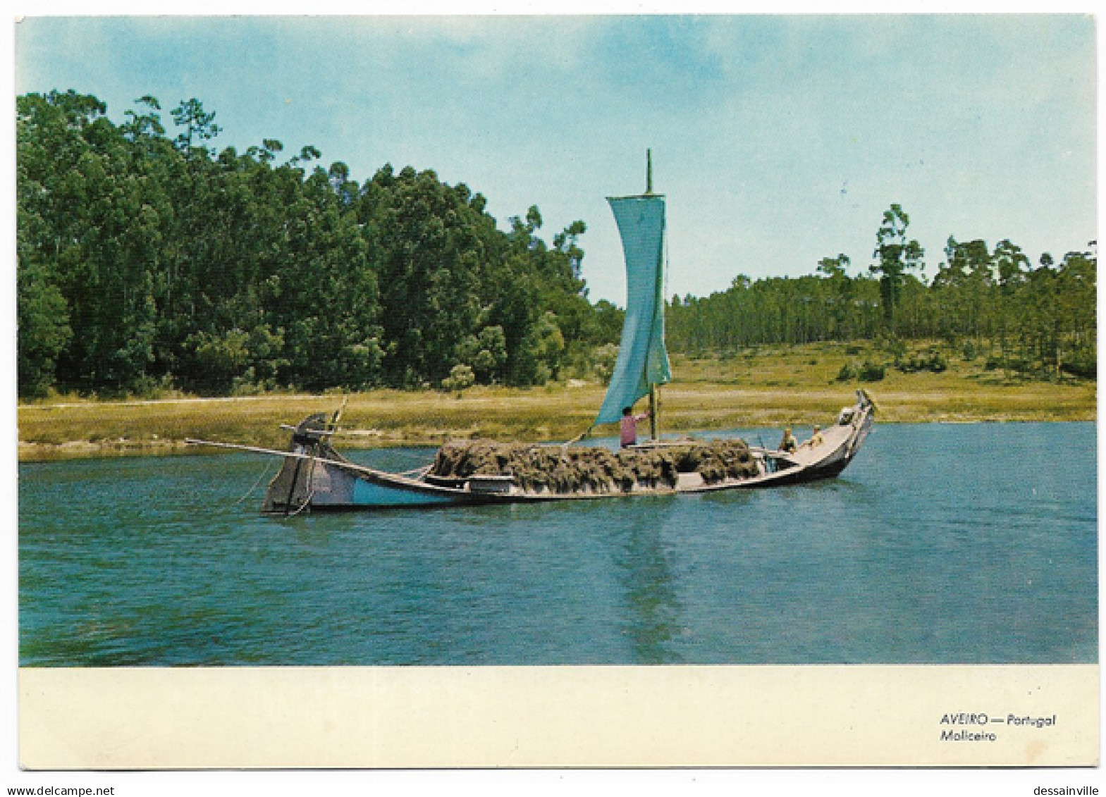 AVEIRO - Moliceiro