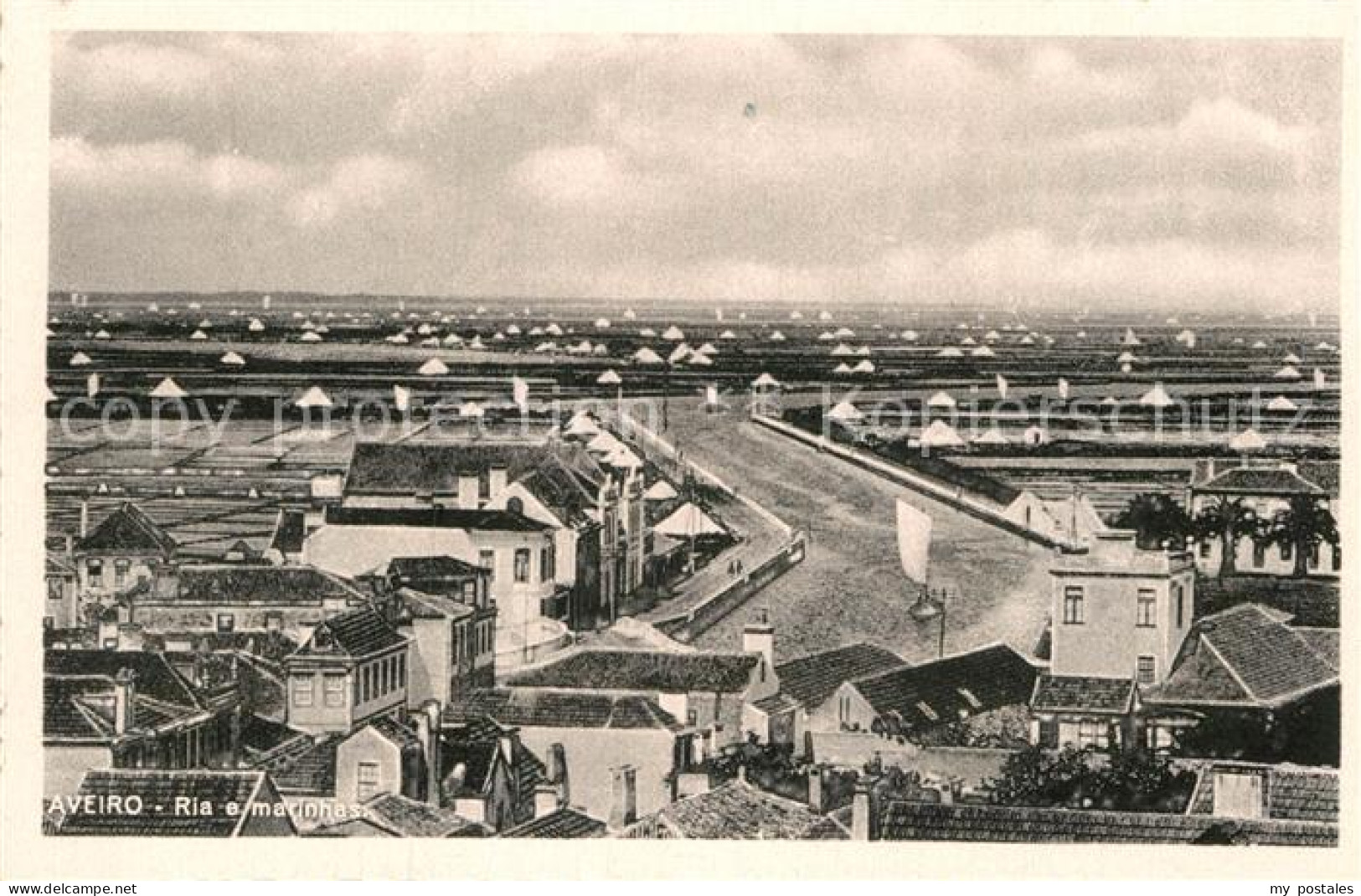 Aveiro Ria e marinhas